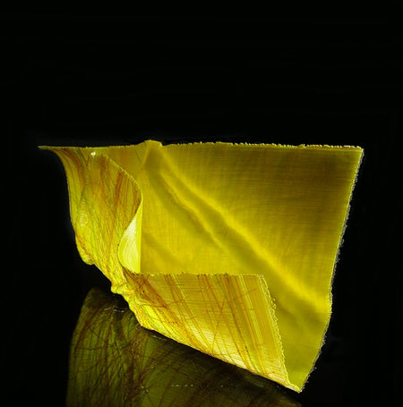 Lilies & Pears" 36 x 36