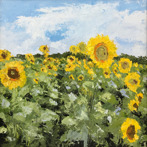 "Sunflower Fields I" 18 x 18
