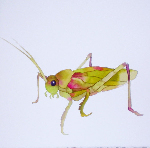 "Grasshopper"   16"x16"